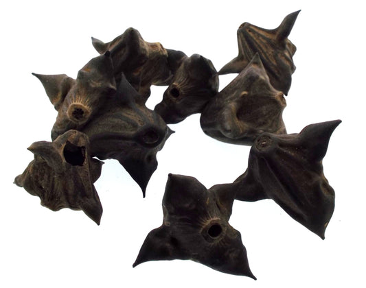 1x Bat Nut Devil Pod