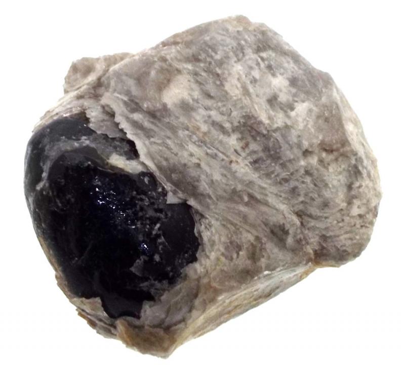 Apache Tear in Perlite Matrix Specimen 01