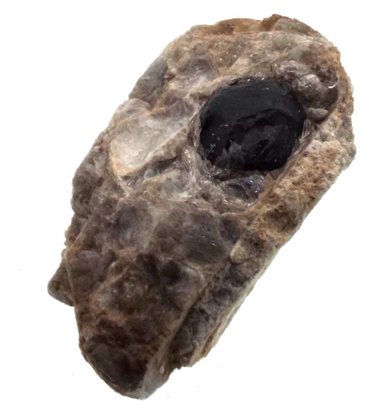 Apache Tear in Perlite Matrix Specimen 03