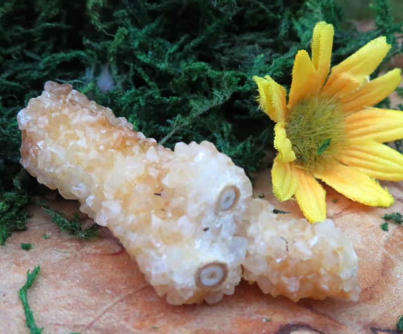 Raw Stalactite Quartz Gemstone 13