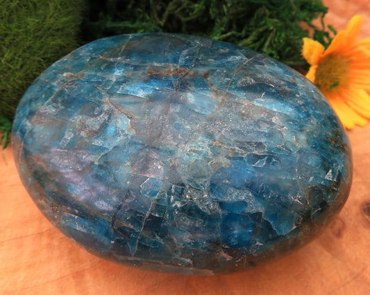Large Apatite Gemstone Palmstone 01