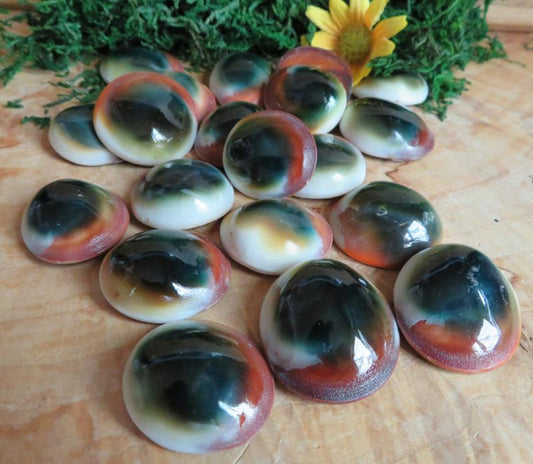 Cats Eye Shell for Protection