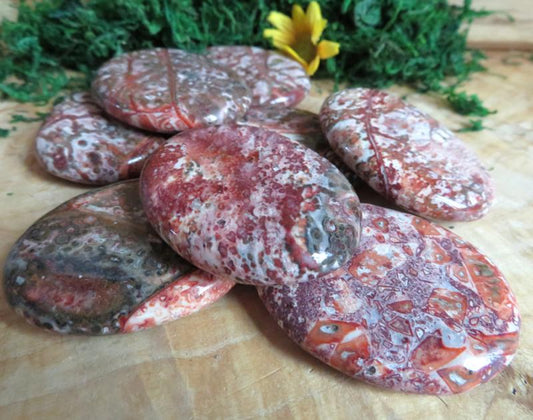 1 x Red Snowflake Jasper Tumbled Palmstone