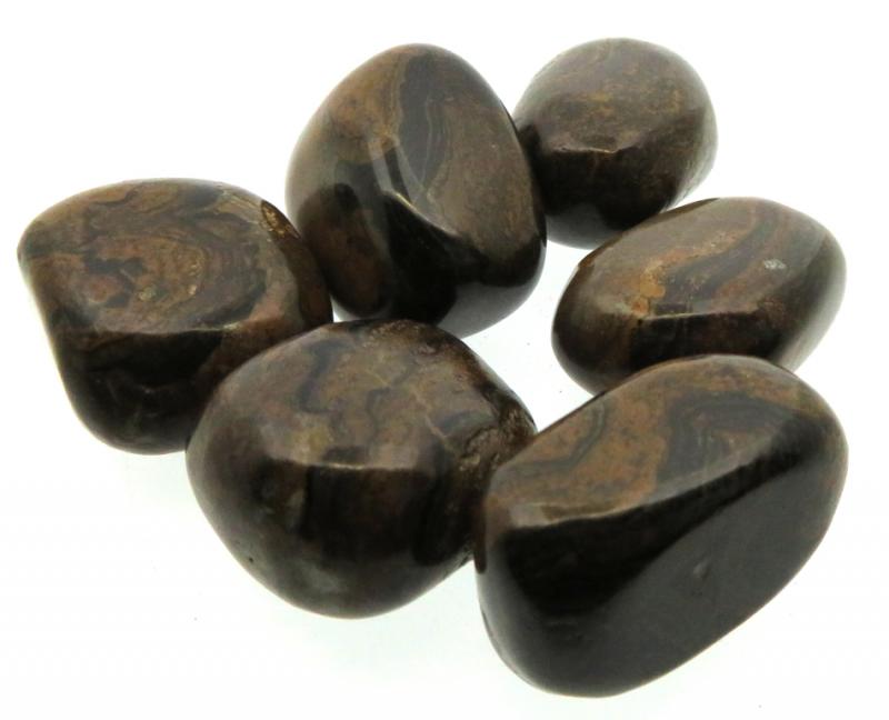 Fossilised Polished Stromatolite Pebble