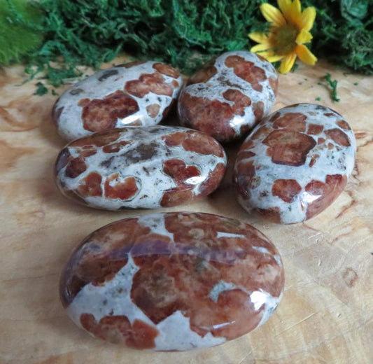 1 x Garnet in Limestone Tumbled Palmstone