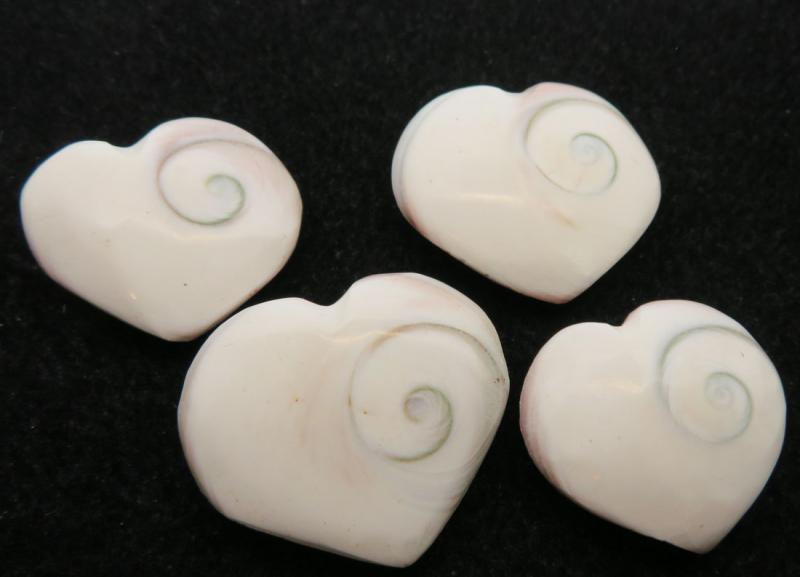 1 x Shiva Heart Shell Sacred Symbol