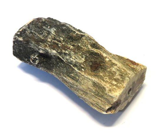 Petrified Wood Specimen 04