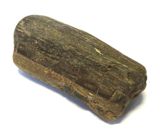 Petrified Wood Specimen 05