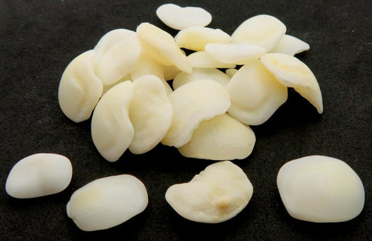 1 x Otolith Sheephead Fish Lucky Stone