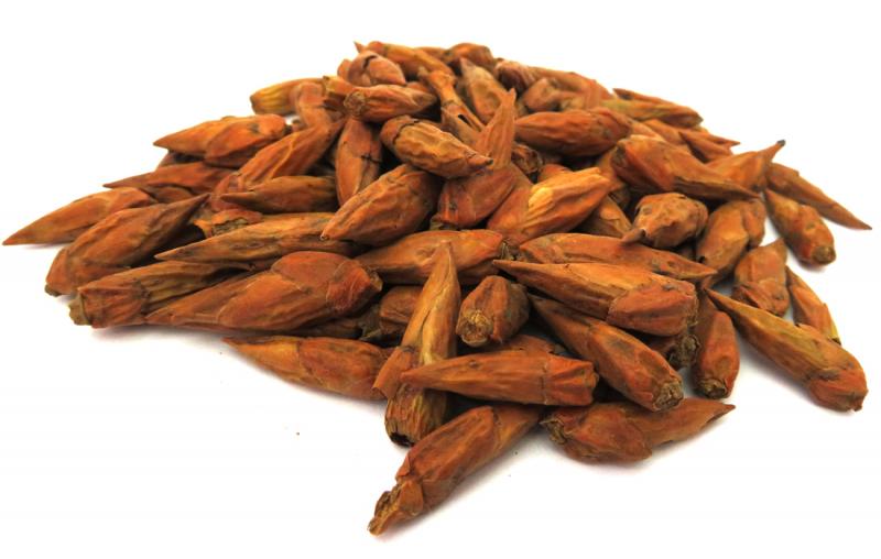 25gms Balm of Gilead Magickal Herb