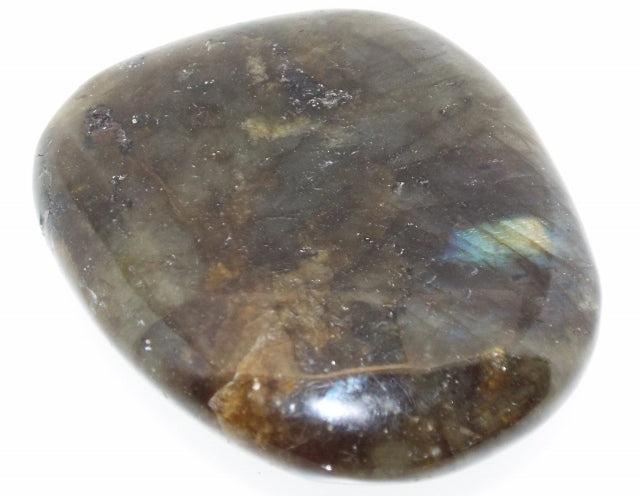 Labradorite Large Palmstone 19