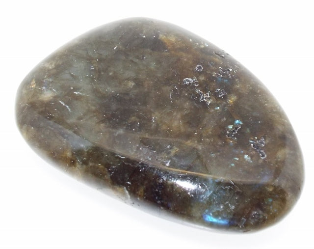 Labradorite Large Palmstone 4