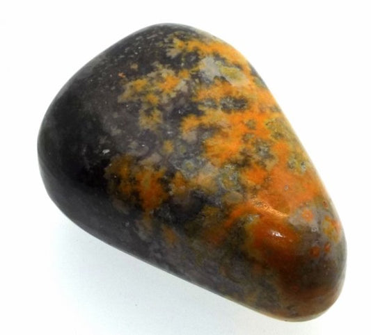 Bumble Bee Jasper Tumblestone Specimen 10