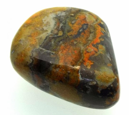 Bumble Bee Jasper Tumblestone Specimen 11
