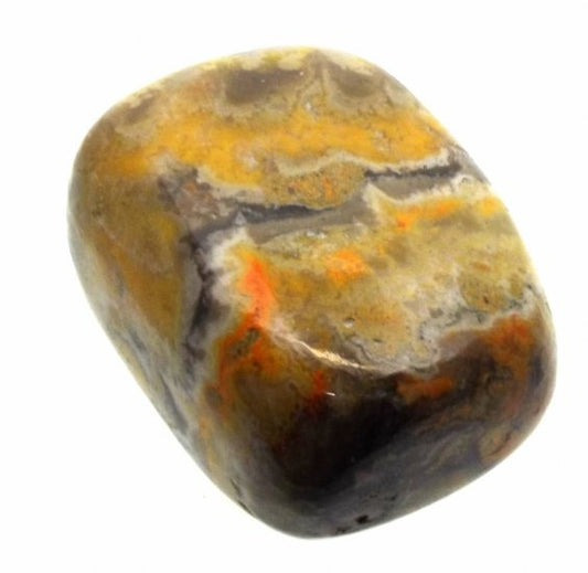 Bumble Bee Jasper Tumblestone Specimen 12