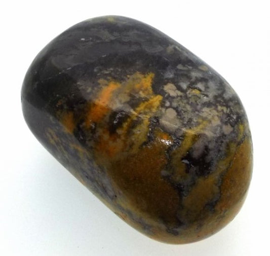 Bumble Bee Jasper Tumblestone Specimen 13