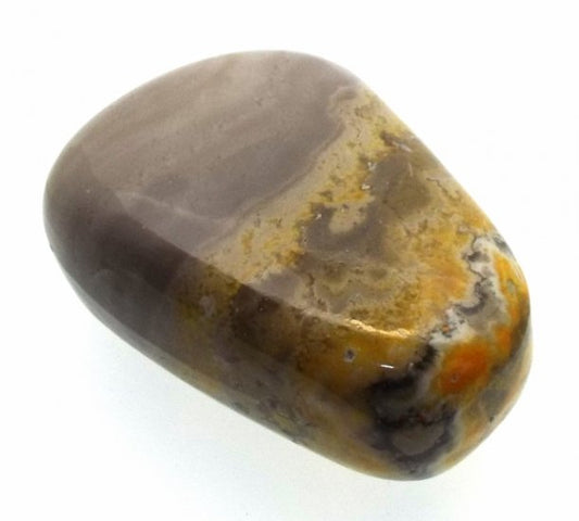 Bumble Bee Jasper Tumblestone Specimen 14