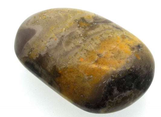 Bumble Bee Jasper Tumblestone Specimen 02