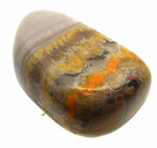 Bumble Bee Jasper Tumblestone Specimen 03