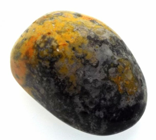 Bumble Bee Jasper Tumblestone Specimen 04