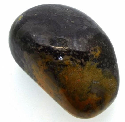 Bumble Bee Jasper Tumblestone Specimen 05