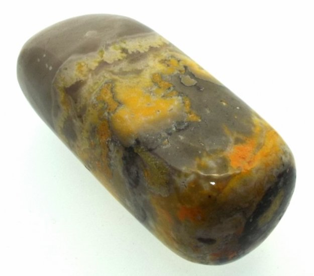 Bumble Bee Jasper Tumblestone Specimen 06