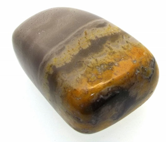Bumble Bee Jasper Tumblestone Specimen 08