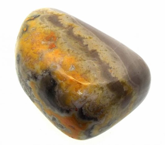 Bumble Bee Jasper Tumblestone Specimen 09