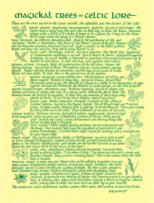Magickal Trees in Celtic Lore Pagan Poster