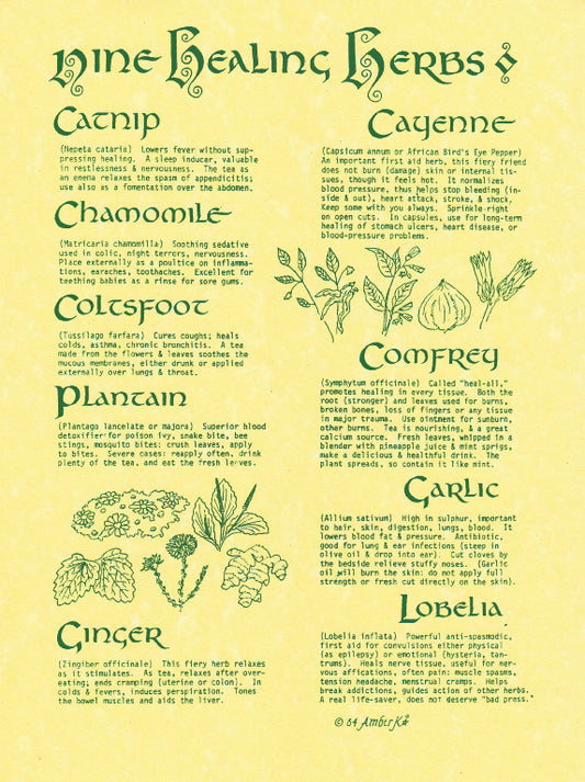 Nine Healing Herbs  Pagan Poster