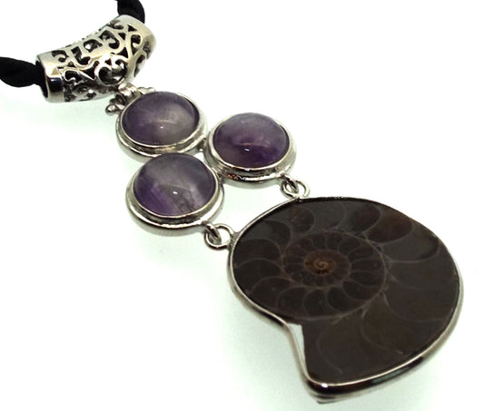 Ammonite Fossil and Amethyst Gemstone Pendant 07