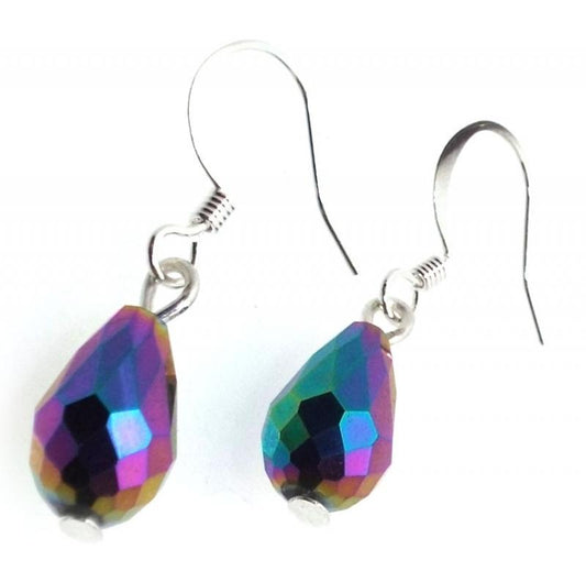 Titanium Hematite Fishhook Earrings
