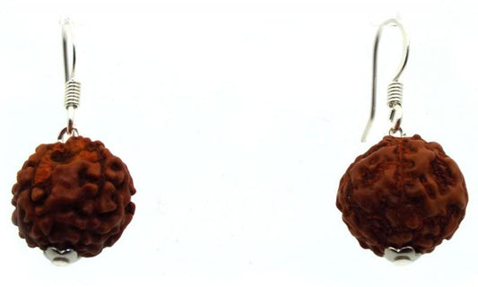 Rudraksha Sacred Seed Fishhook Earrings