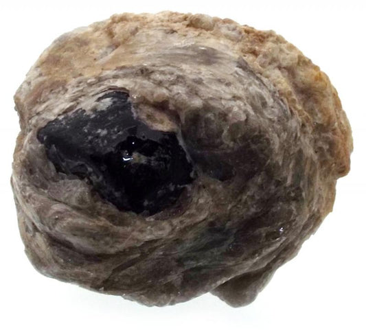 Apache Tear in Perlite Matrix Specimen 02