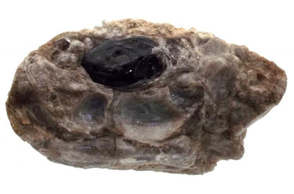 Apache Tear in Perlite Matrix Specimen 03