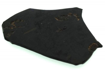 Jet Gemstone Slice 02