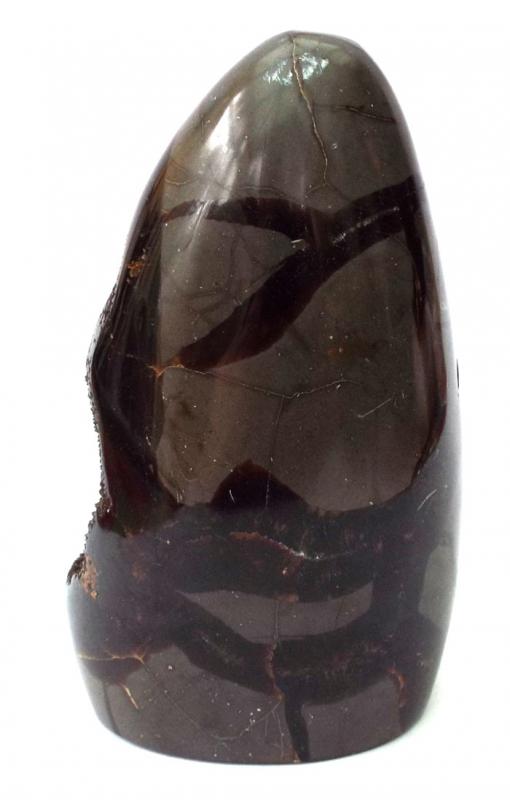 Druzy Septarian Thunder Egg Specimen