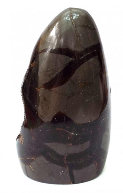 Druzy Septarian Thunder Egg Specimen
