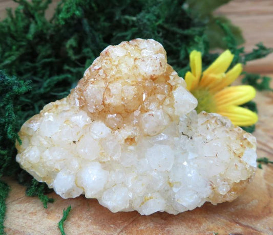 Raw Stalactite Quartz Gemstone 09