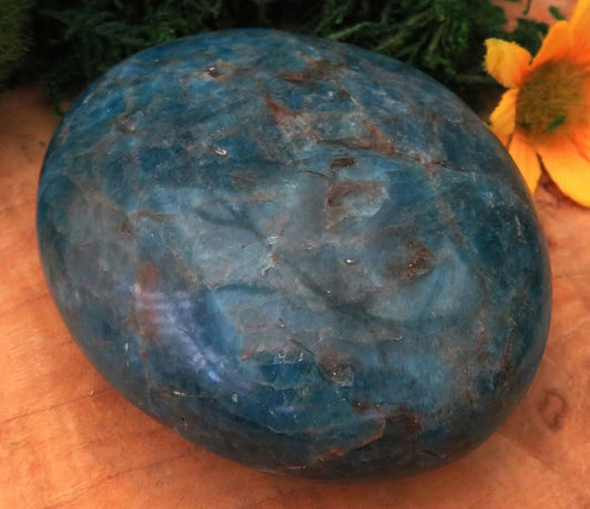 Large Apatite Gemstone Palmstone 06