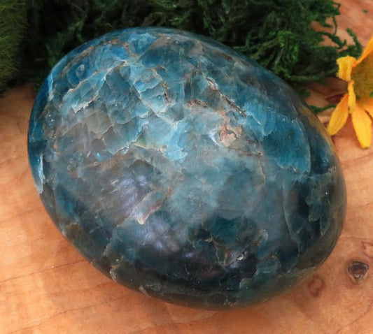 Large Apatite Gemstone Palmstone 08