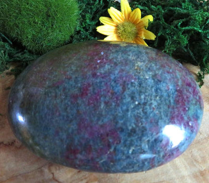 Ruby In Kyanite Palmstone Pebble 12