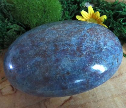 Ruby In Kyanite Palmstone Pebble 13