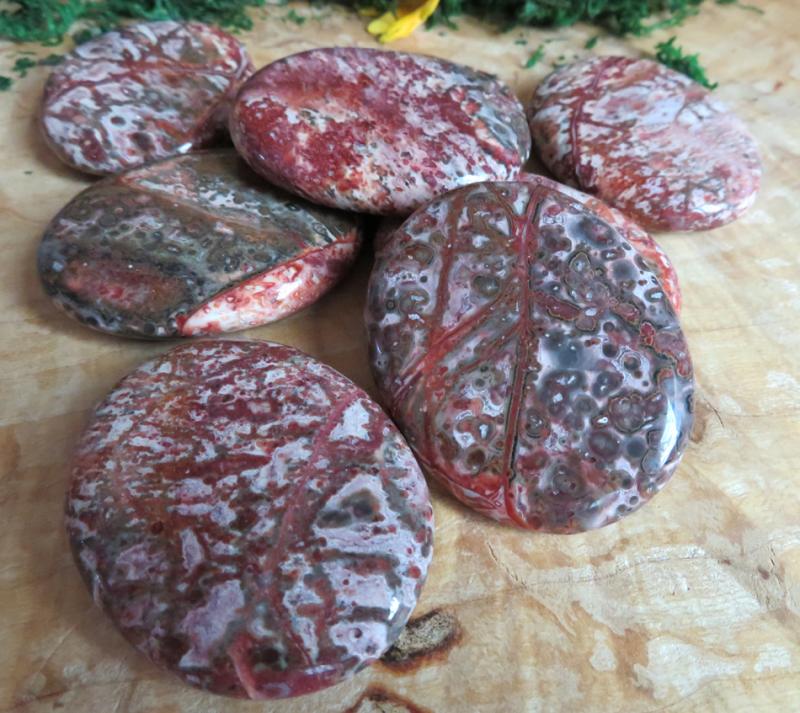 1 x Red Snowflake Jasper Tumbled Palmstone