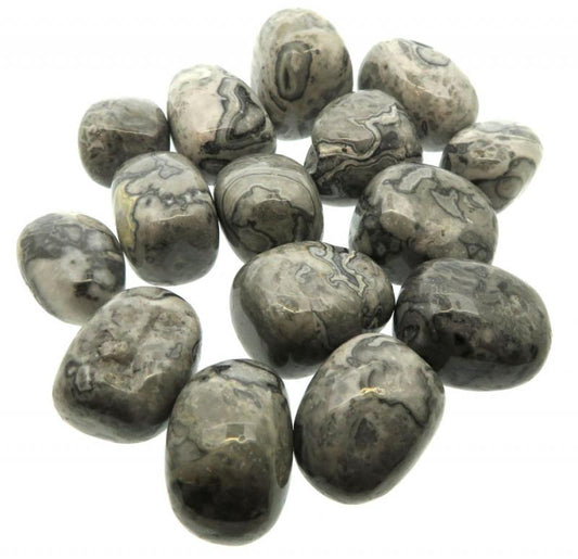 1 x Grey Lace Agate Tumblestone