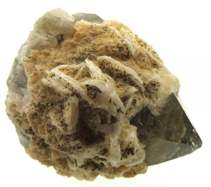 Morion Elestial Smoky Quartz Gemstone Specimen 04