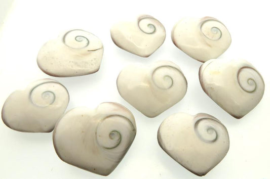 1 x Shiva Heart Shell Sacred Symbol
