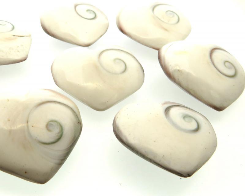 1 x Shiva Heart Shell Sacred Symbol