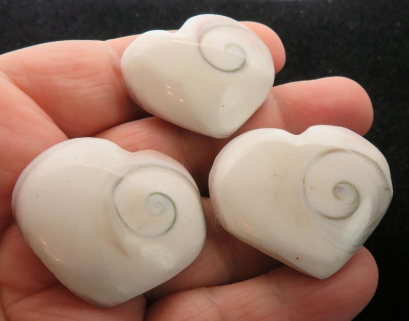 1 x Shiva Heart Shell Sacred Symbol