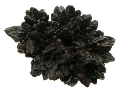 Pseudomorph Prophecy Stone Specimen 01